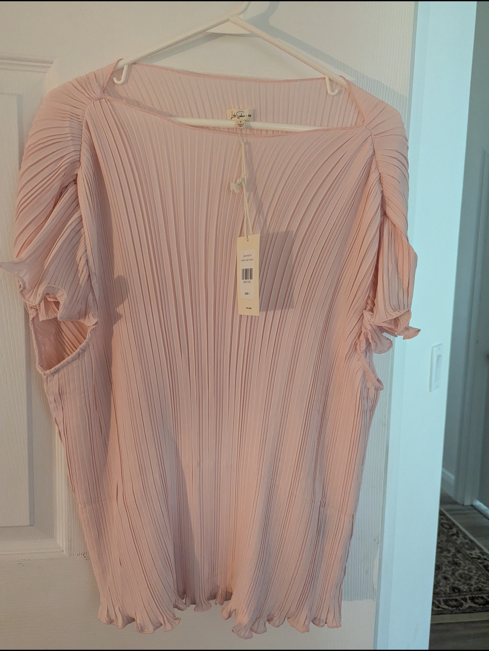 Plisse light pink pleated blouse with ruffed cap sleeves